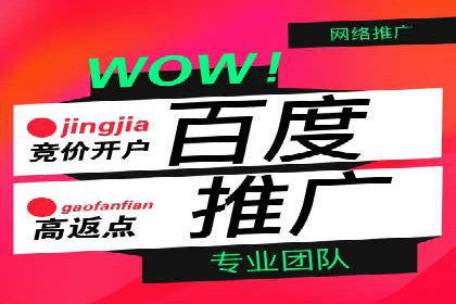 揭秘竞价SEM托管案例背后的策略